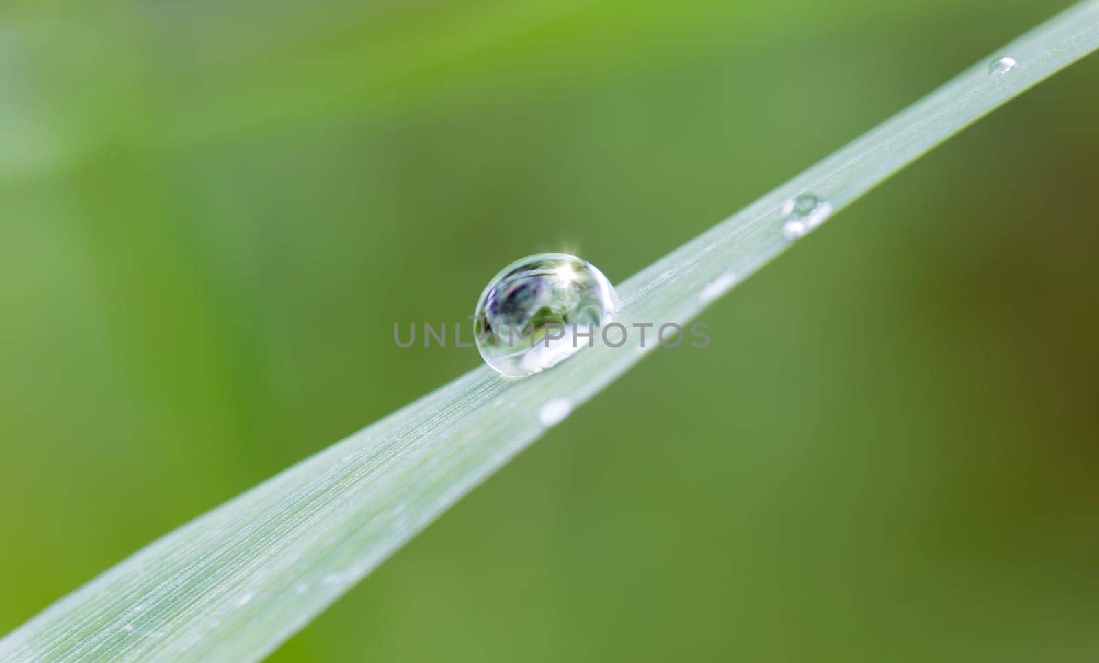 Water pearl