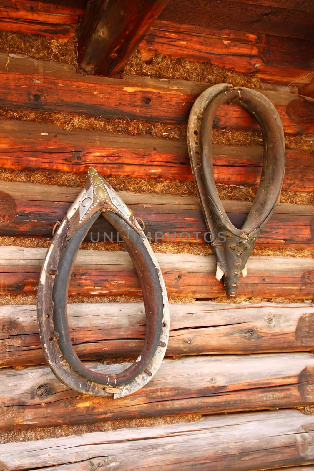 Close up view of the wooden wall of a rural house. On the wall hangs traditional horse collars.
