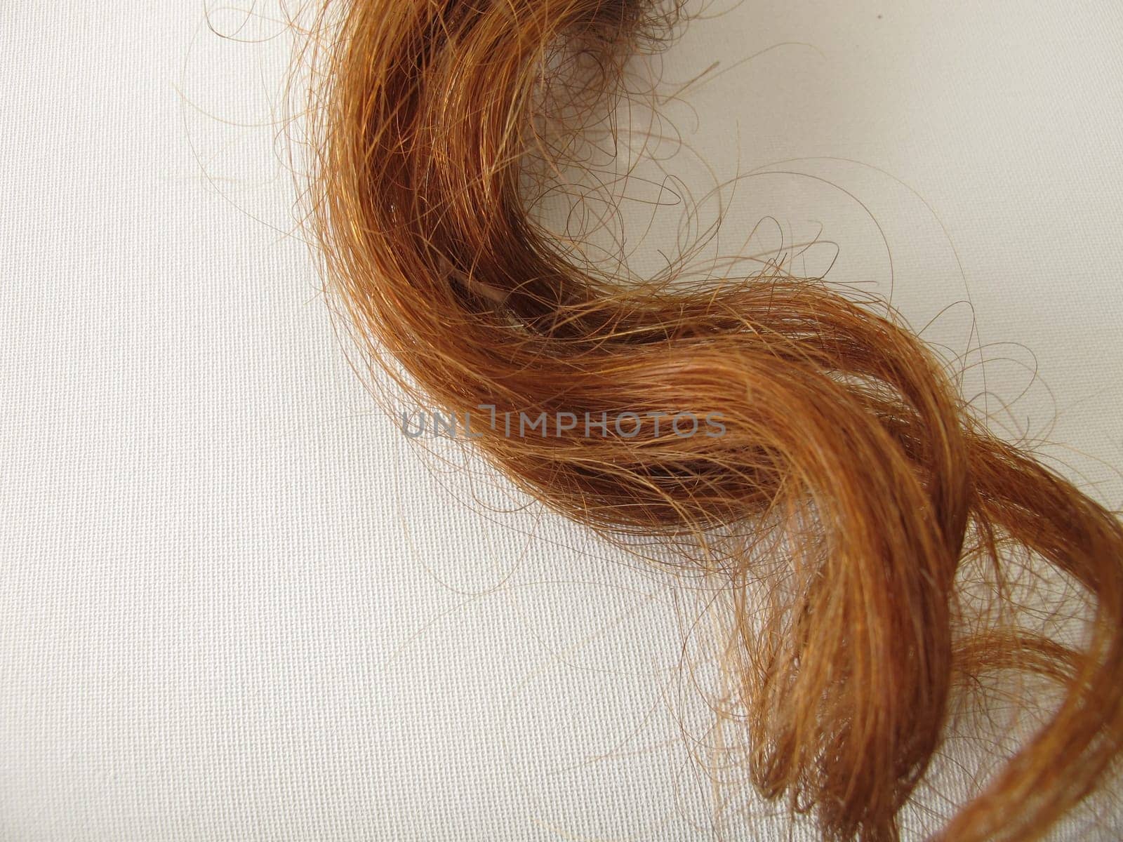 Maroon strands of hair
