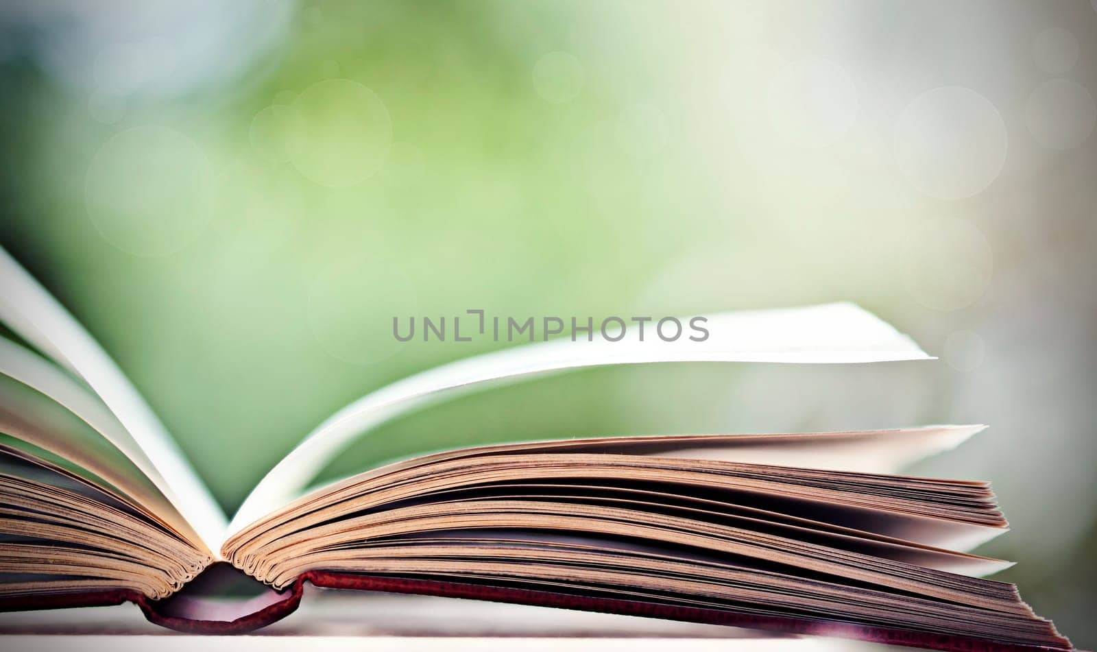 Close up on open book