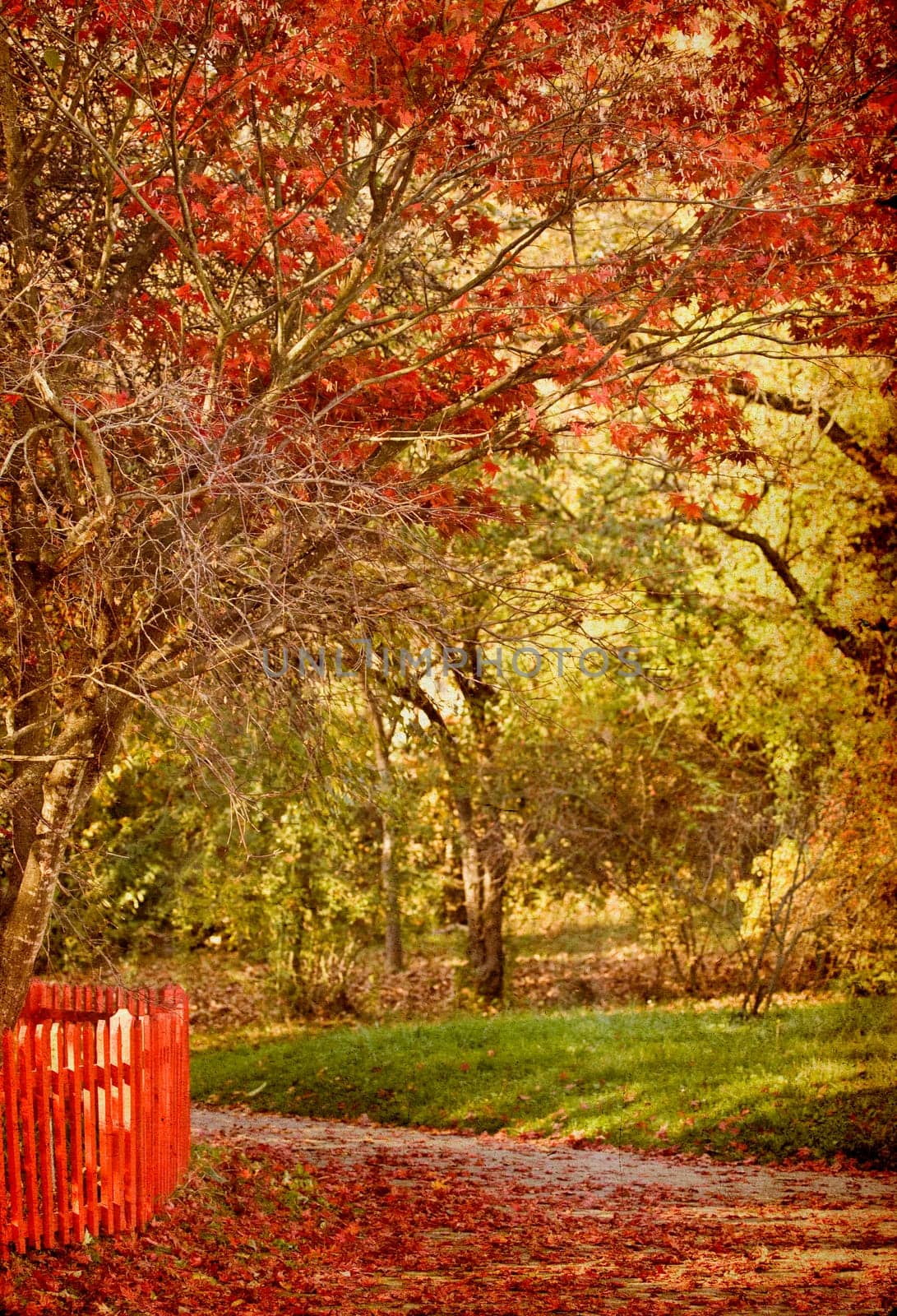 Vintage photo of curving road in autumn park