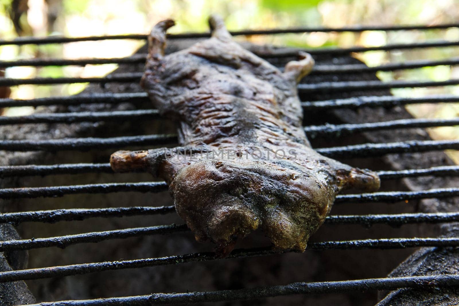 mole grilled for food later on the grille
