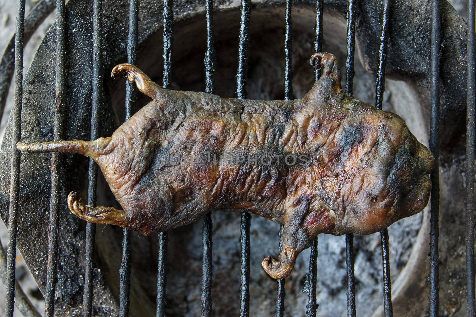 mole grilled for food later on the grille