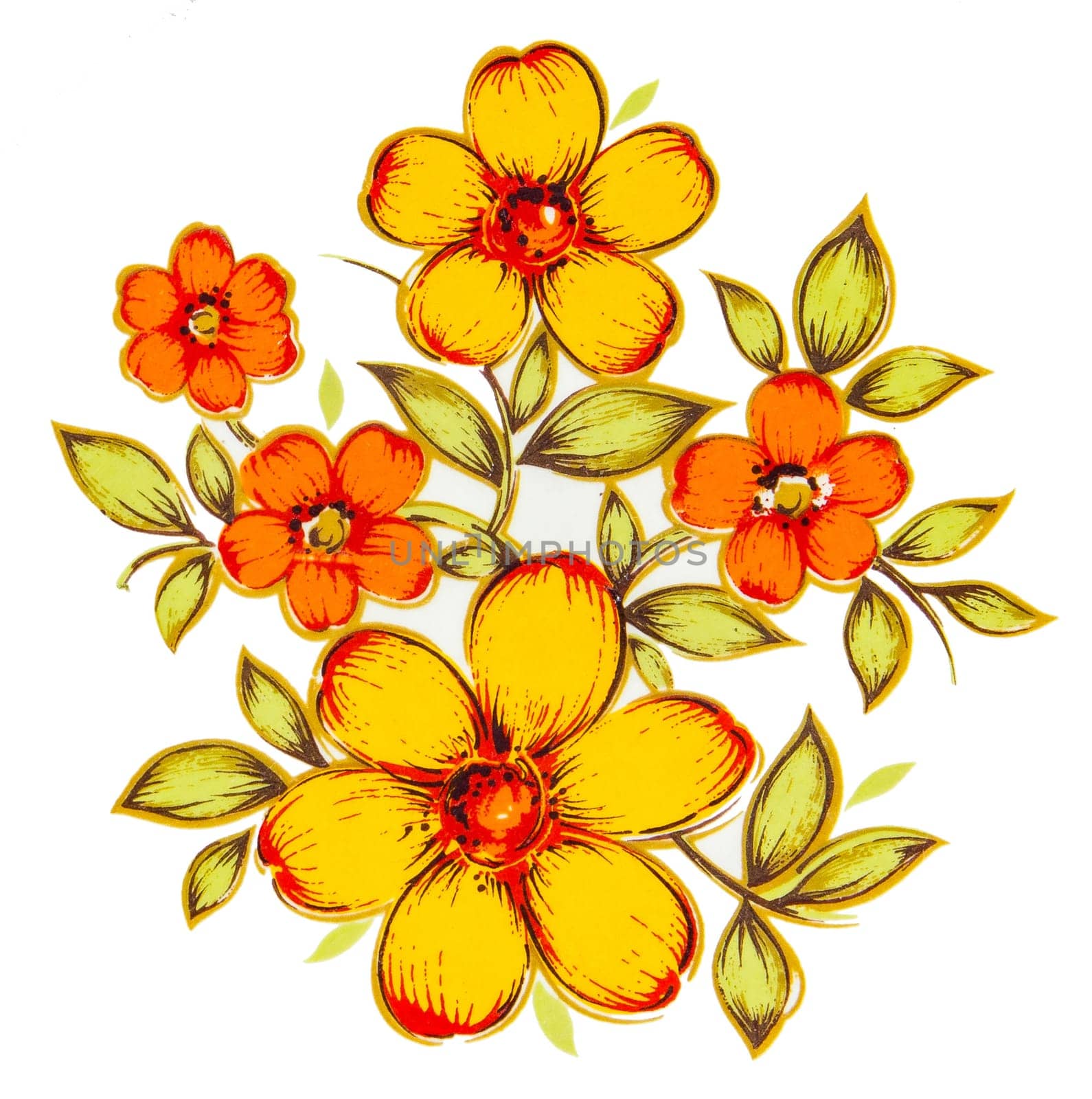 Painting yellow flowers on white background