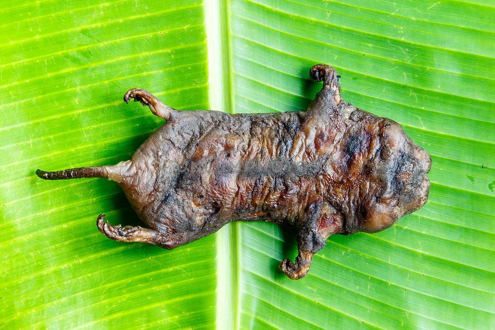 mole grilled for food later on banana leaf