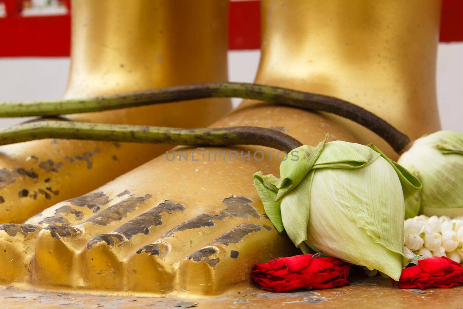 The Lotus on feet of buddha in temple , thailand