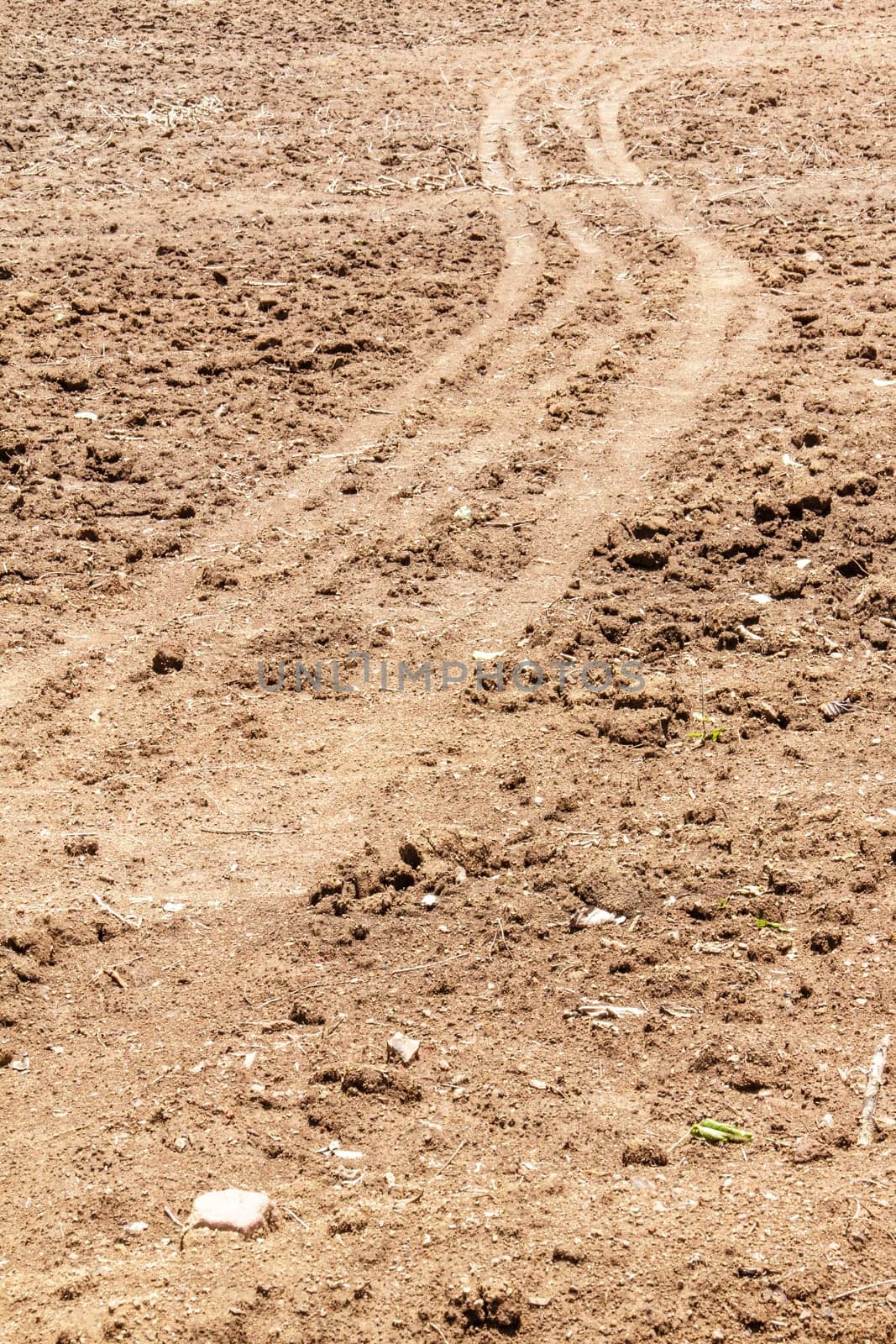 the road in cassava garden on the hill