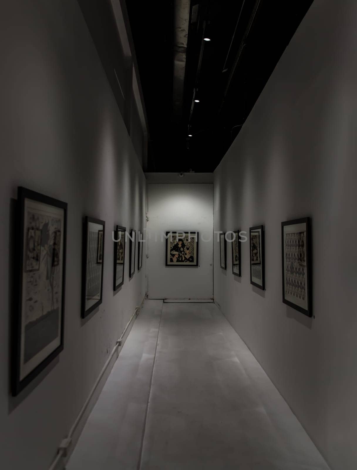 Bangkok, Thailand. Feb - 06, 2022 : photograph displayed on white wall at art gallery exhibition room. Concept of fine art in photographic. No focus, specifically.