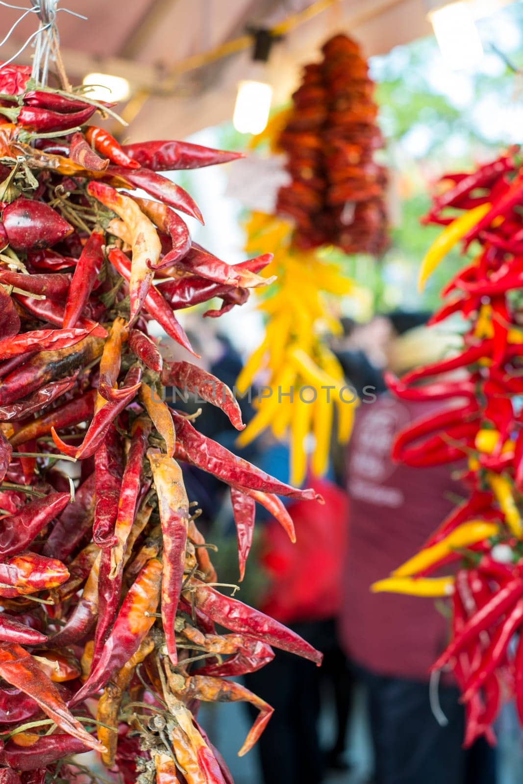 Detail of dried red chilly bunch