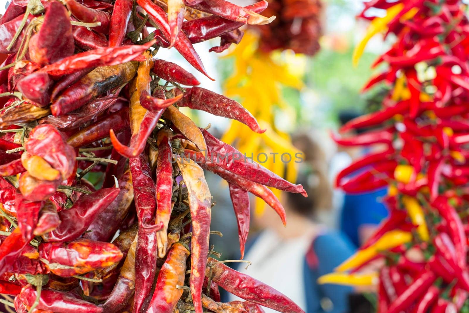 Detail of dried red chilly bunch