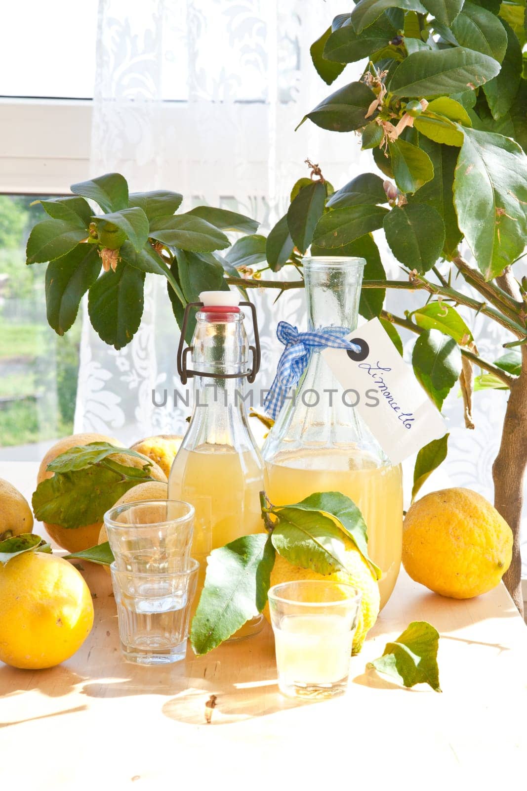 Homemade limoncello made from fresh organic lemons in small bottles