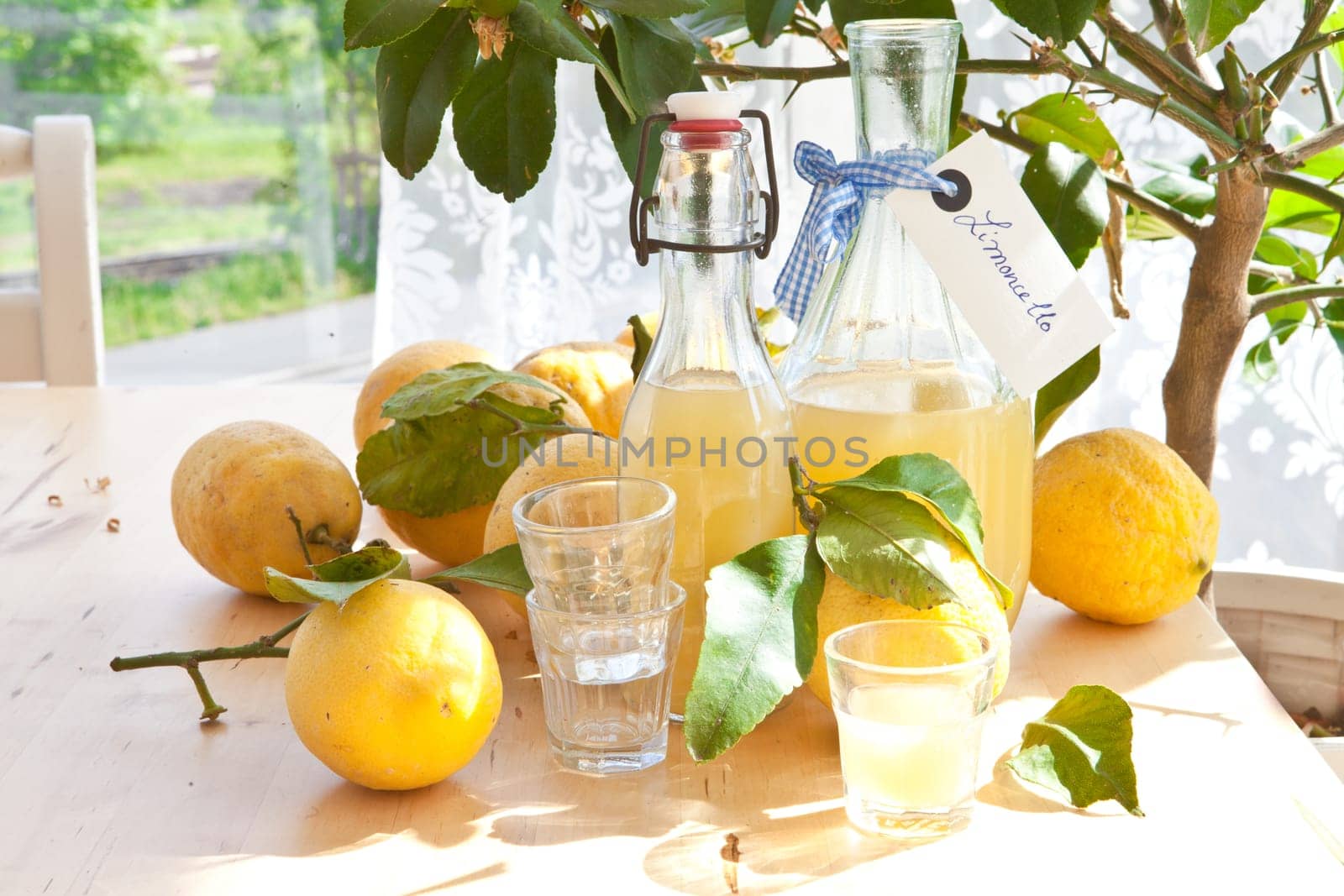 Homemade limoncello made from fresh organic lemons in small bottles