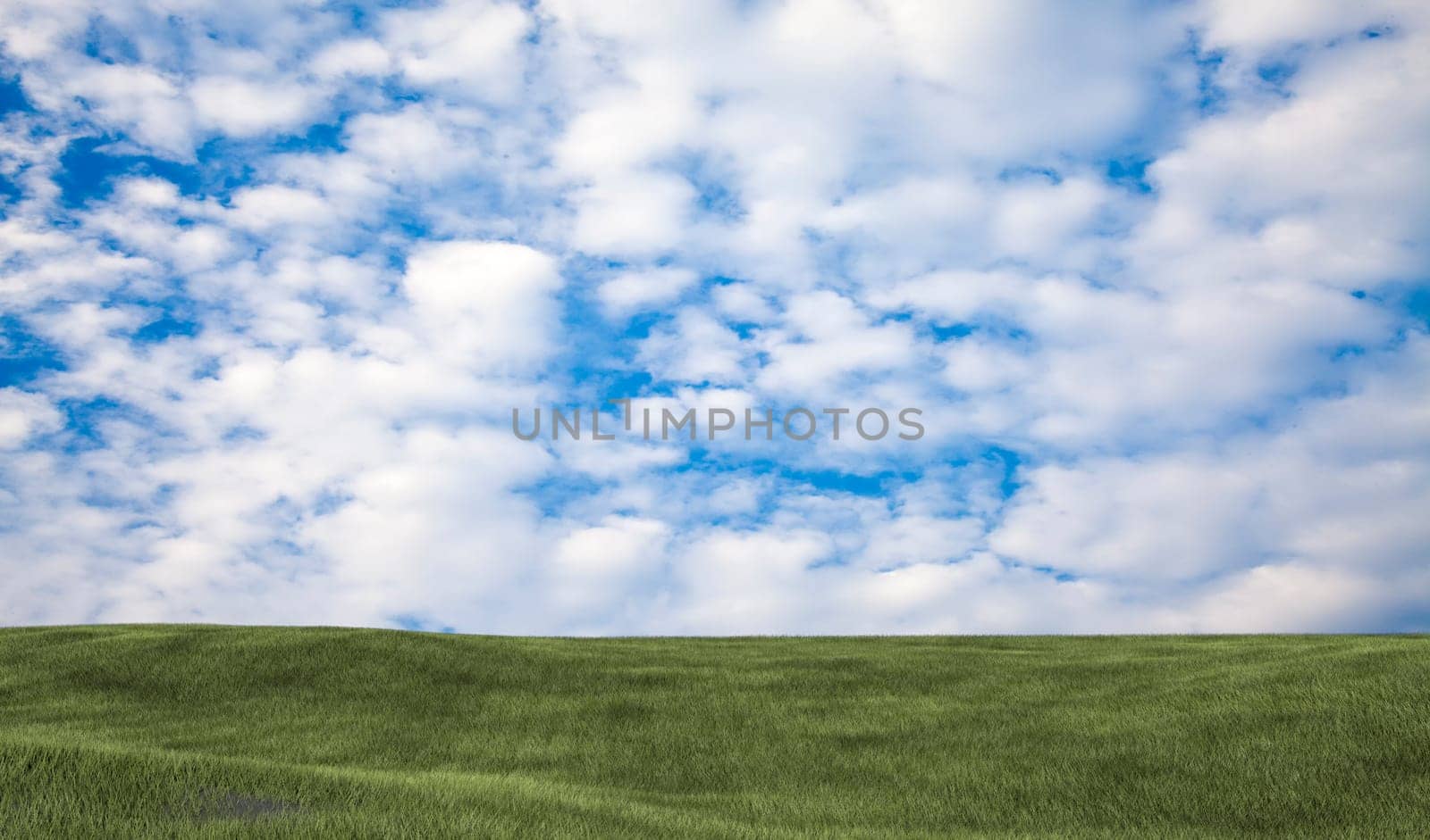 Background image of lush grass