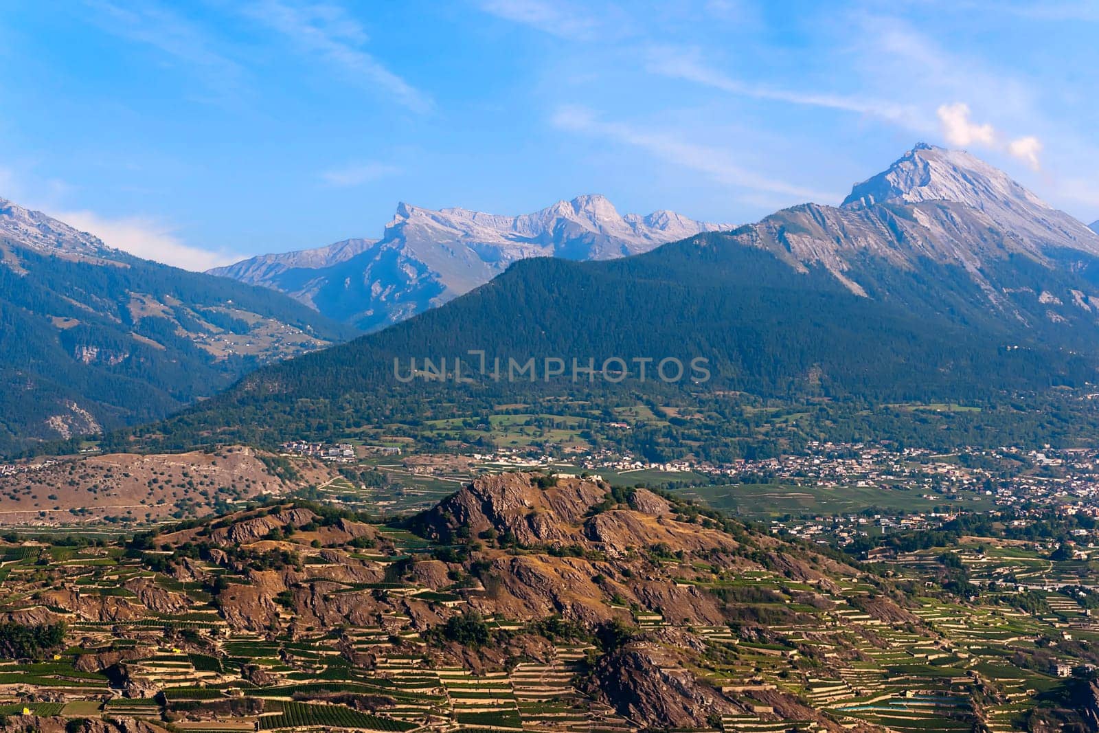 The vines of Valais