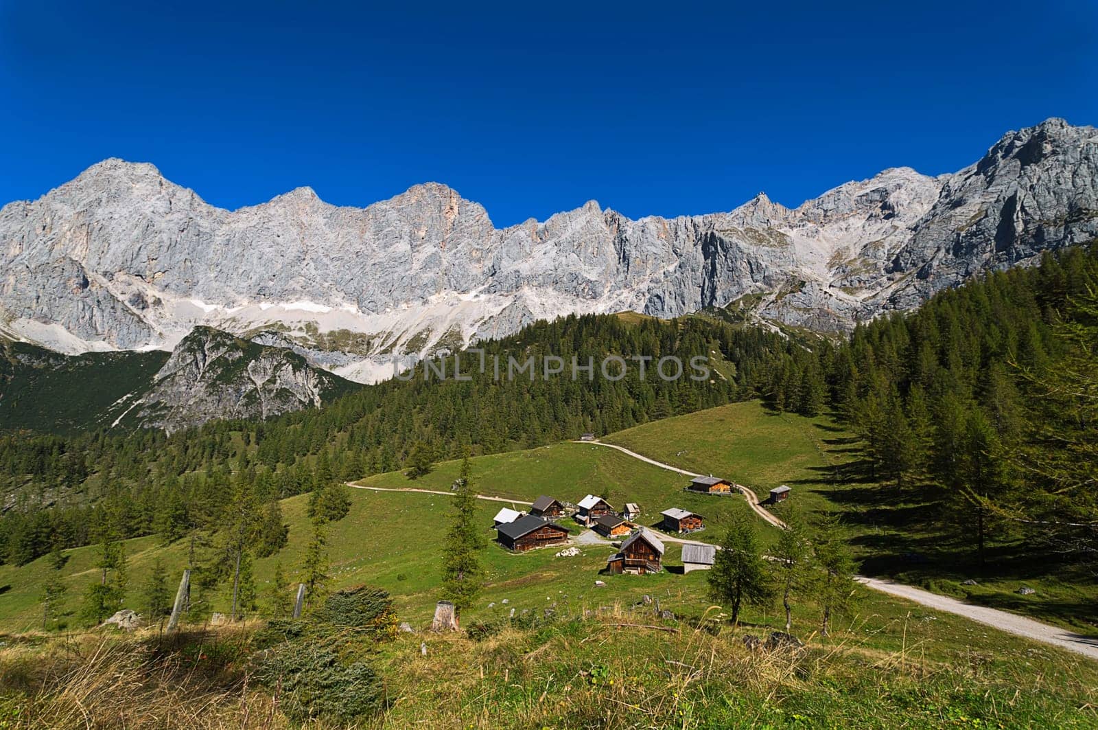 Alp under the Dachstein