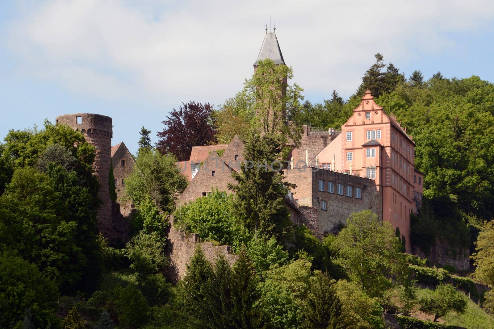 Hirschhorn Castle