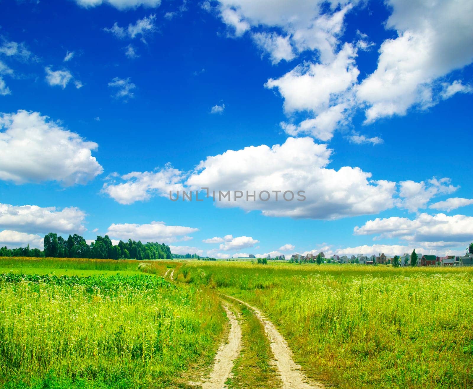 field on a background of the blue sky