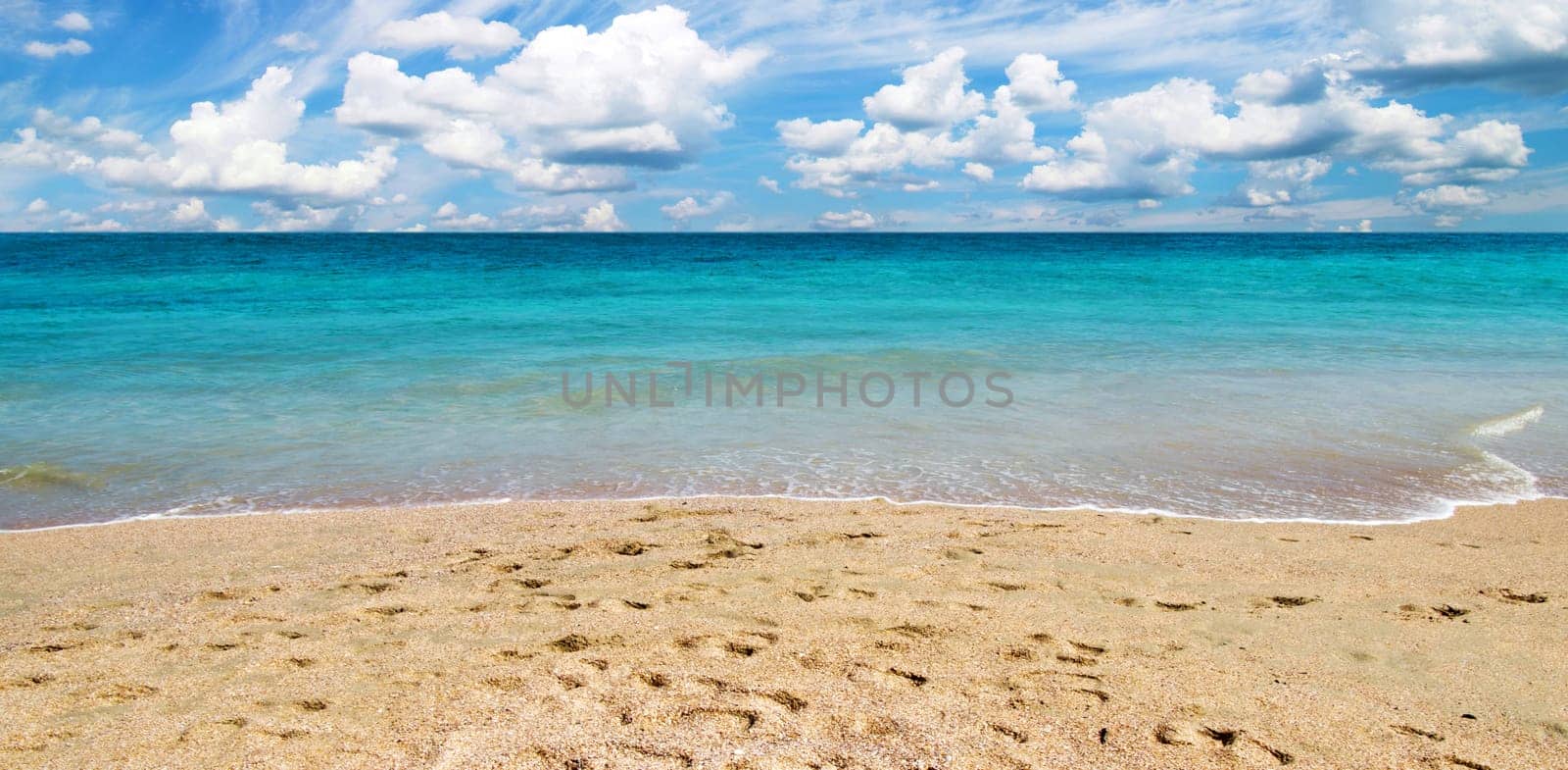 beautiful beach and tropical sea
