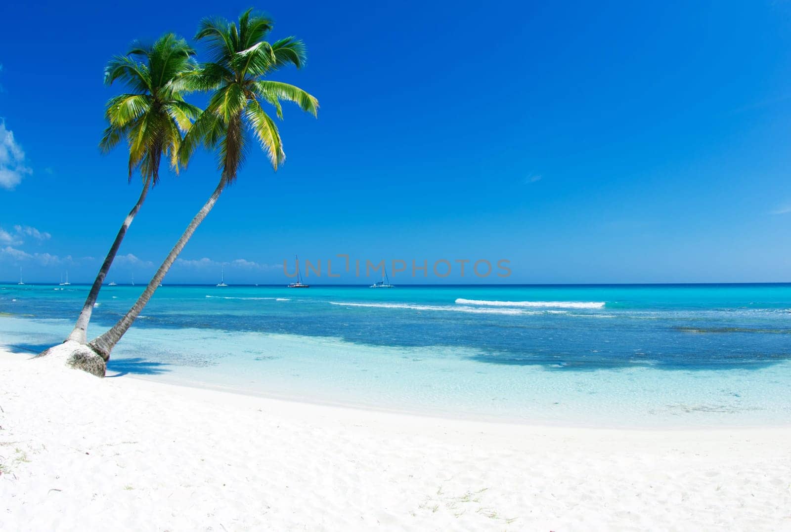 beautiful beach and tropical sea
