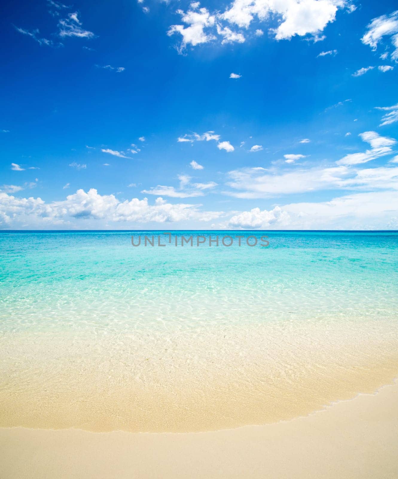 beautiful beach and tropical sea
