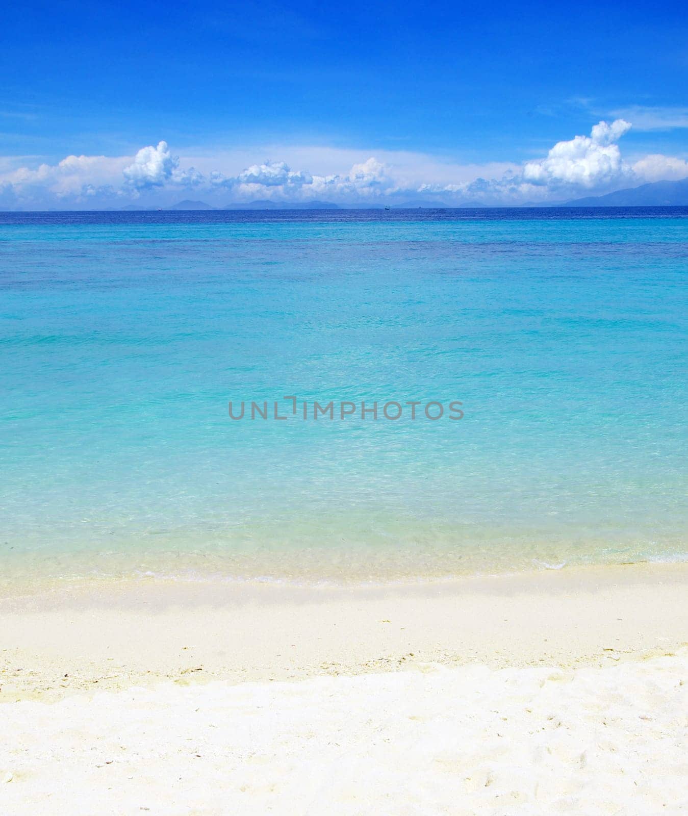 beautiful beach and tropical sea
