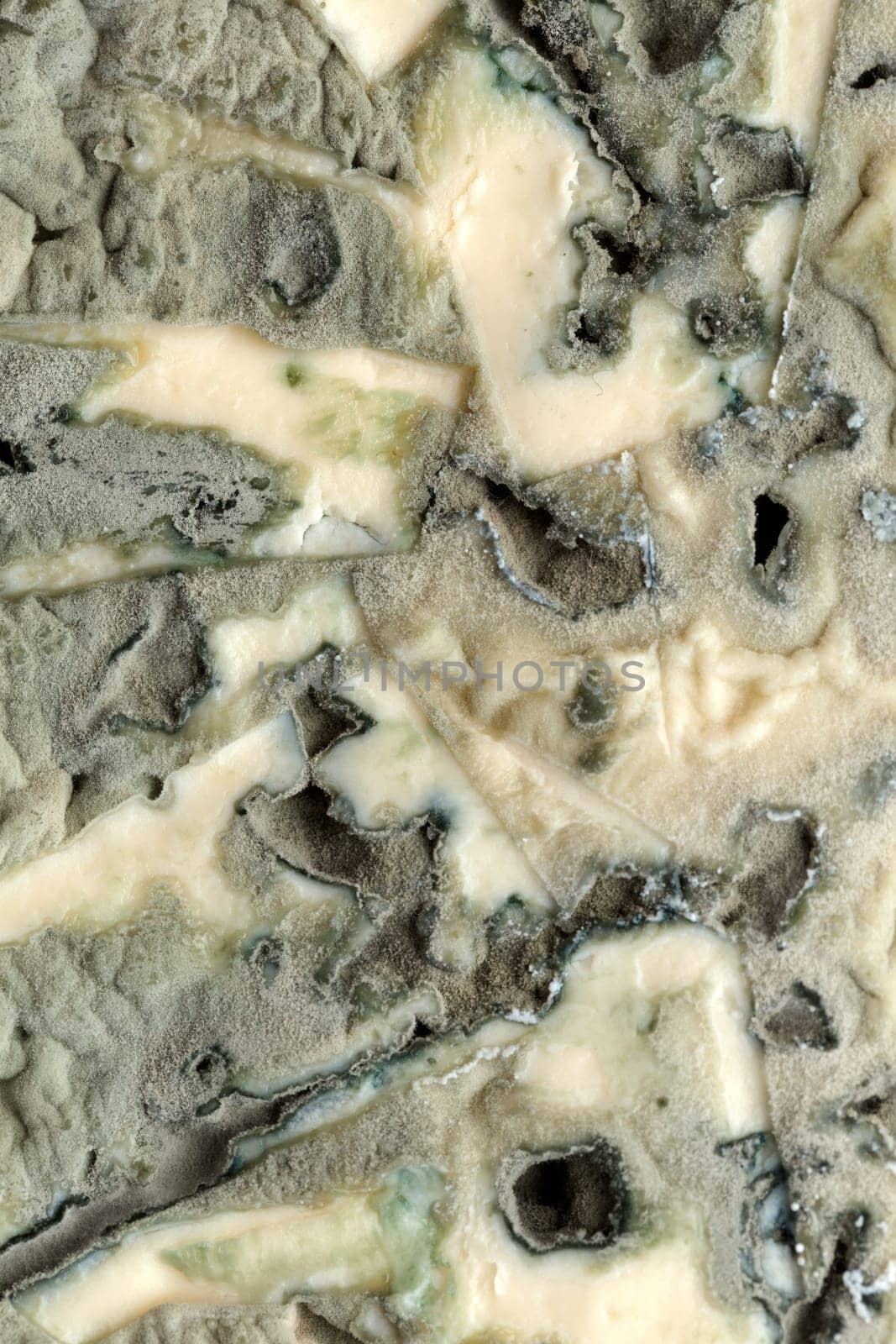 blue (bleu) cheese macro background.