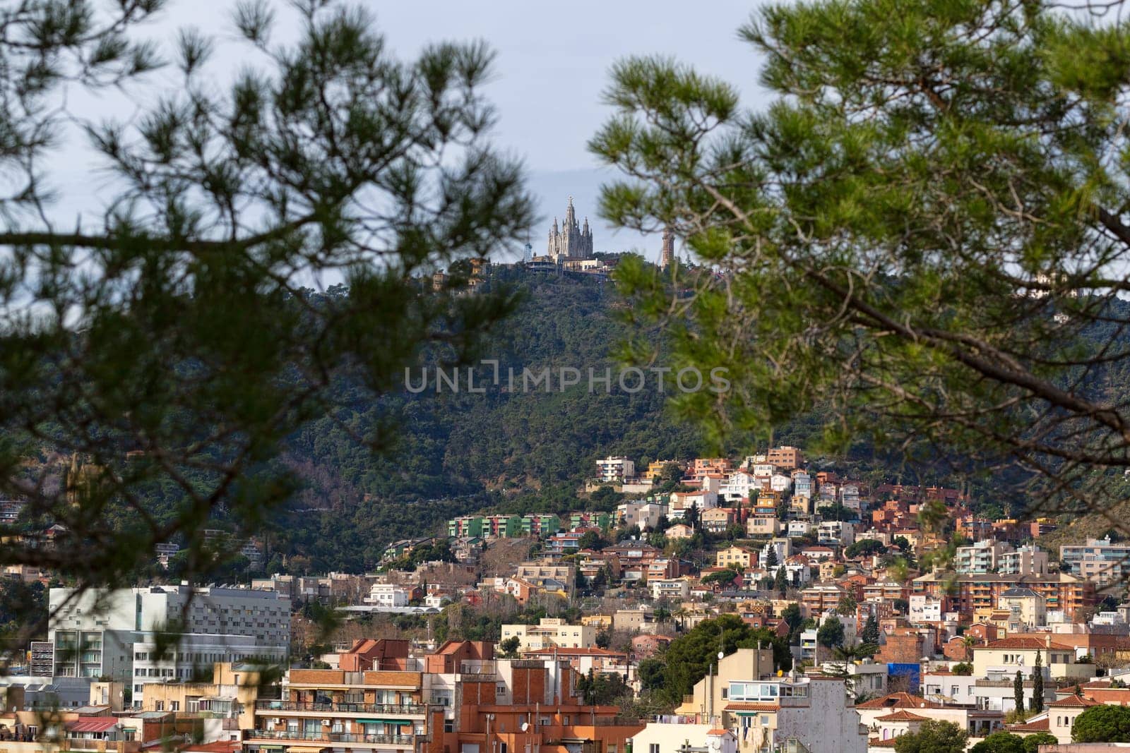View of Mount Tibidabo through the branches of pine trees. Barcelona, ​​Spain.