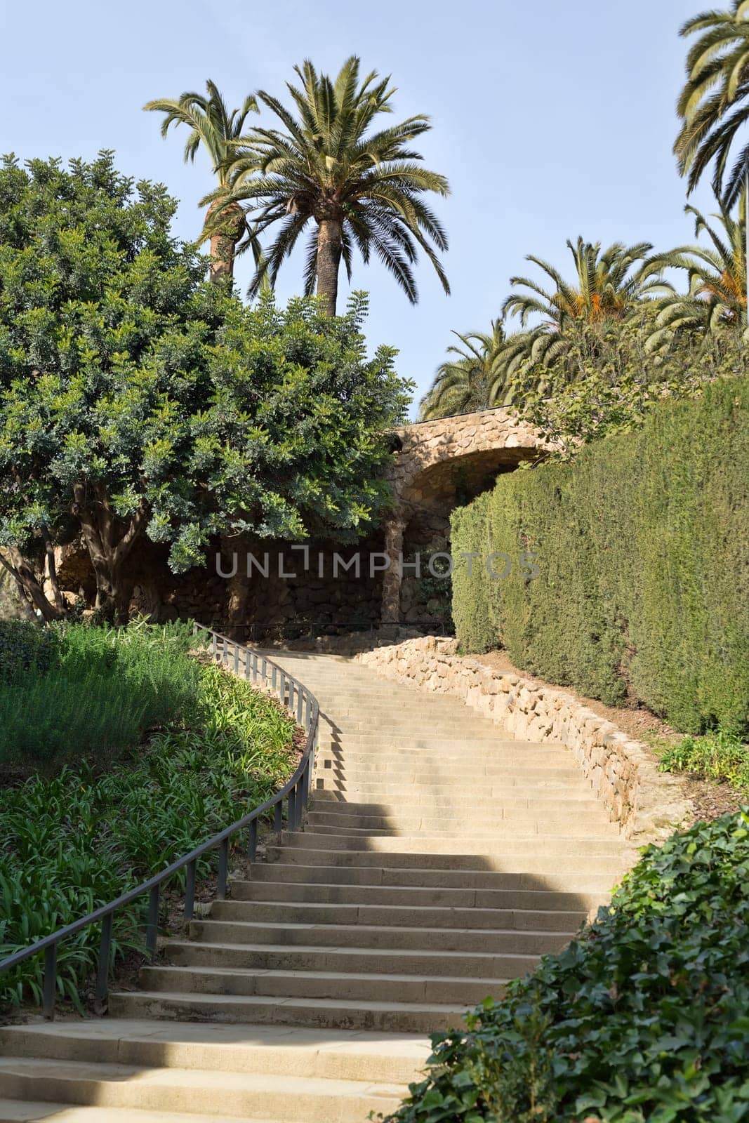 Stairs in the green palms and partially in the shade.