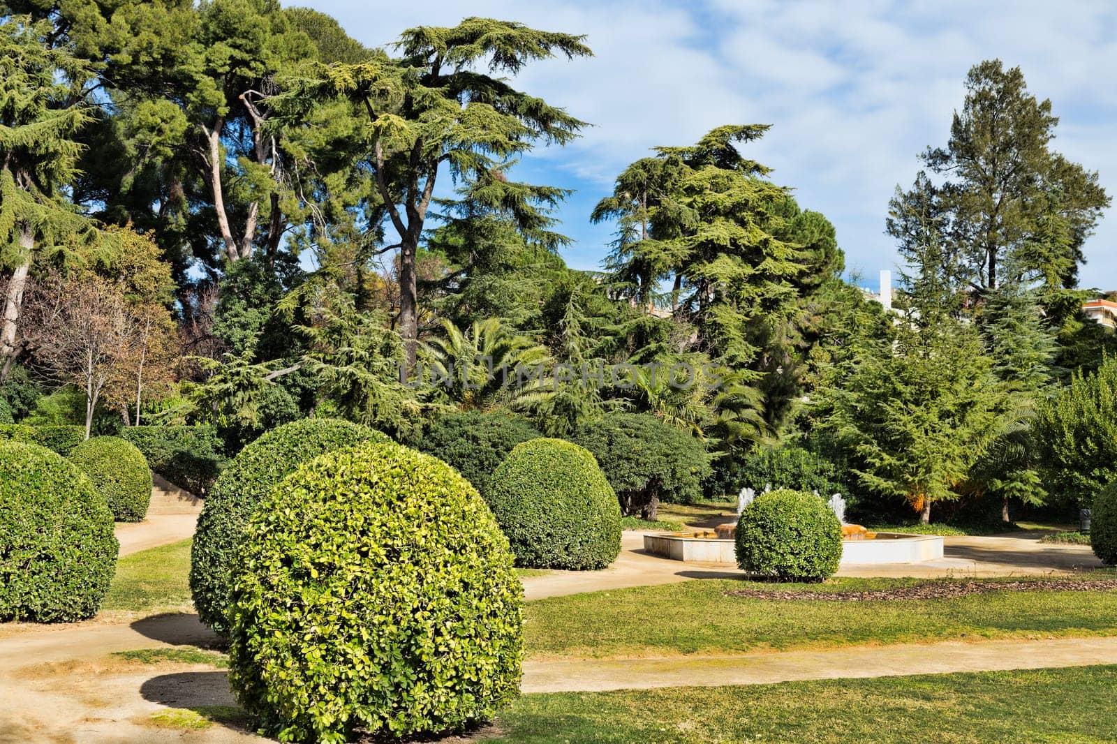 Peaceful Green Garden with a Freshly Mown Grass Lawn.