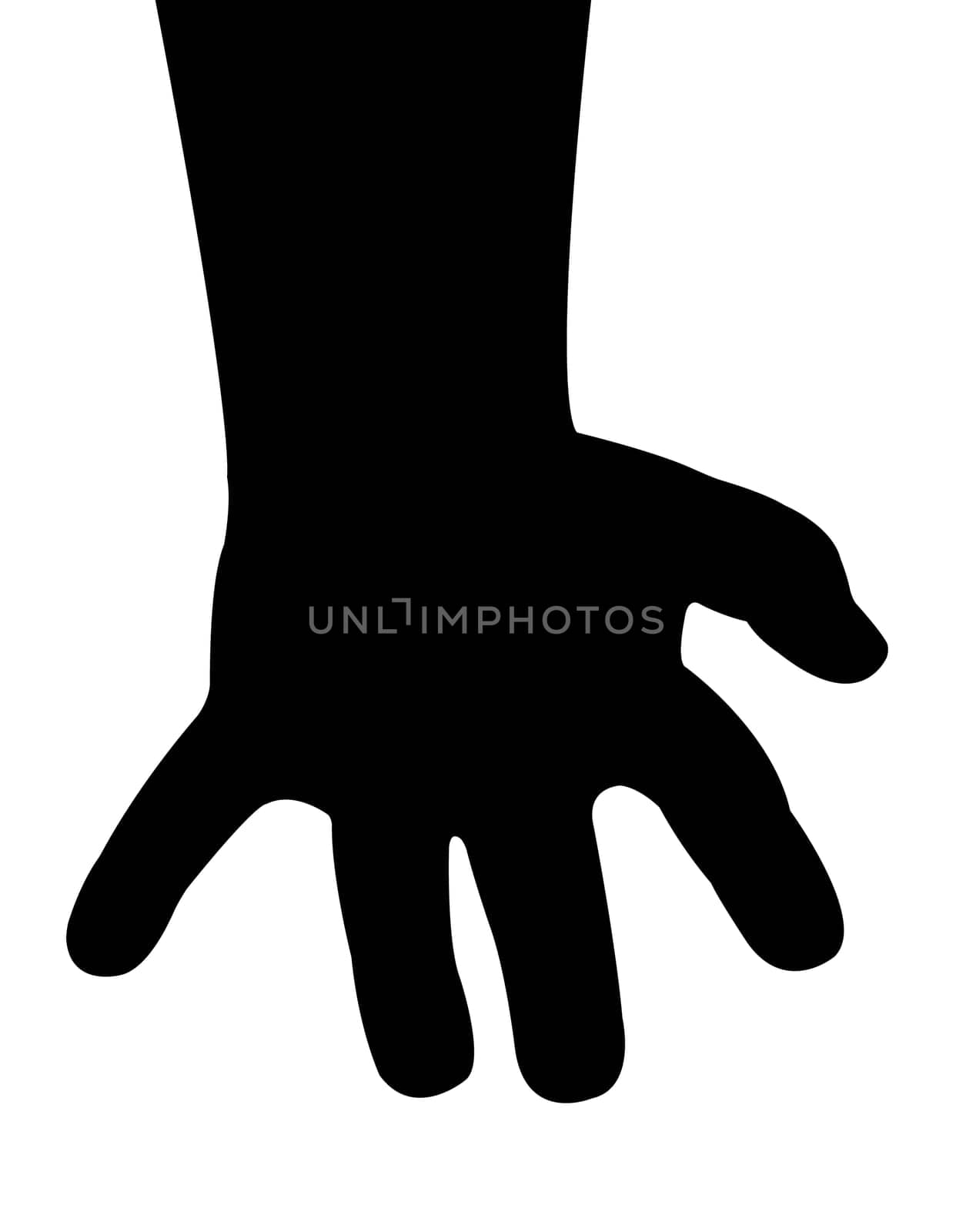 baby boy hand vector
