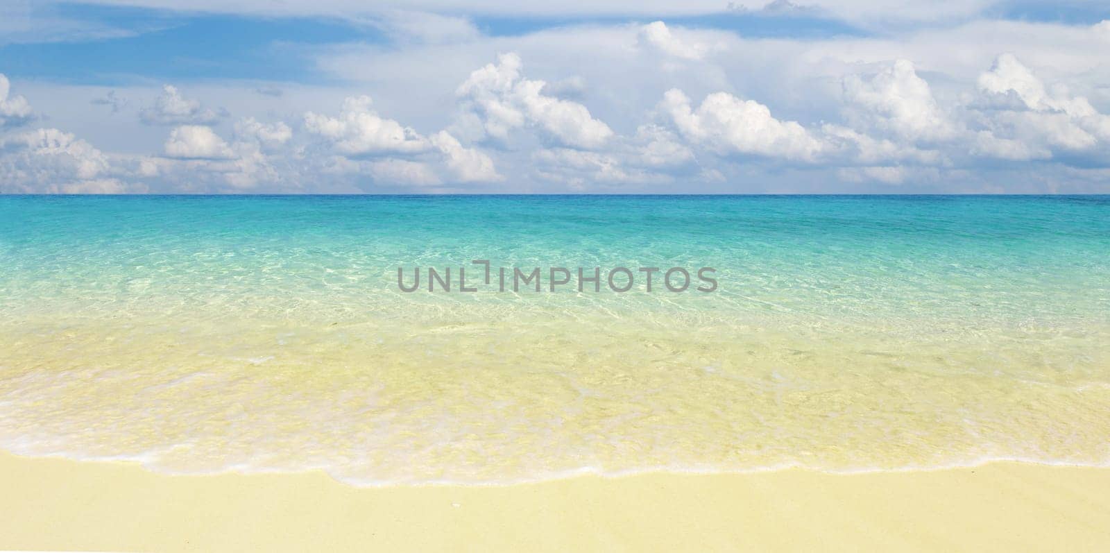 beautiful beach and tropical sea