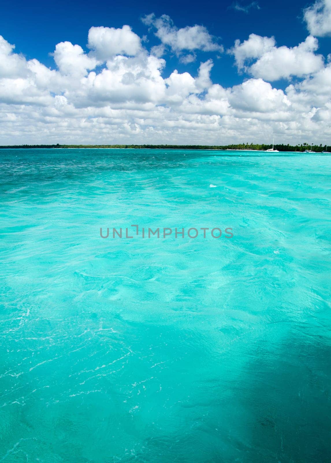 tropical sea under the blue sky