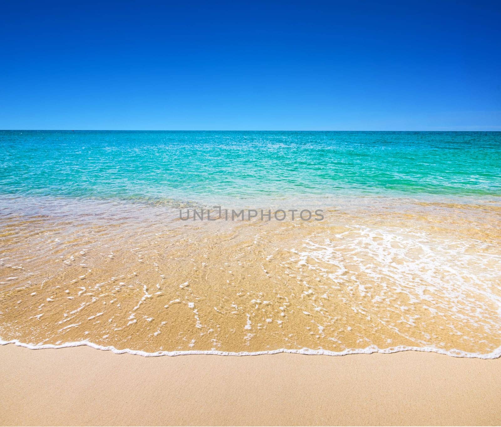 beautiful beach and tropical sea