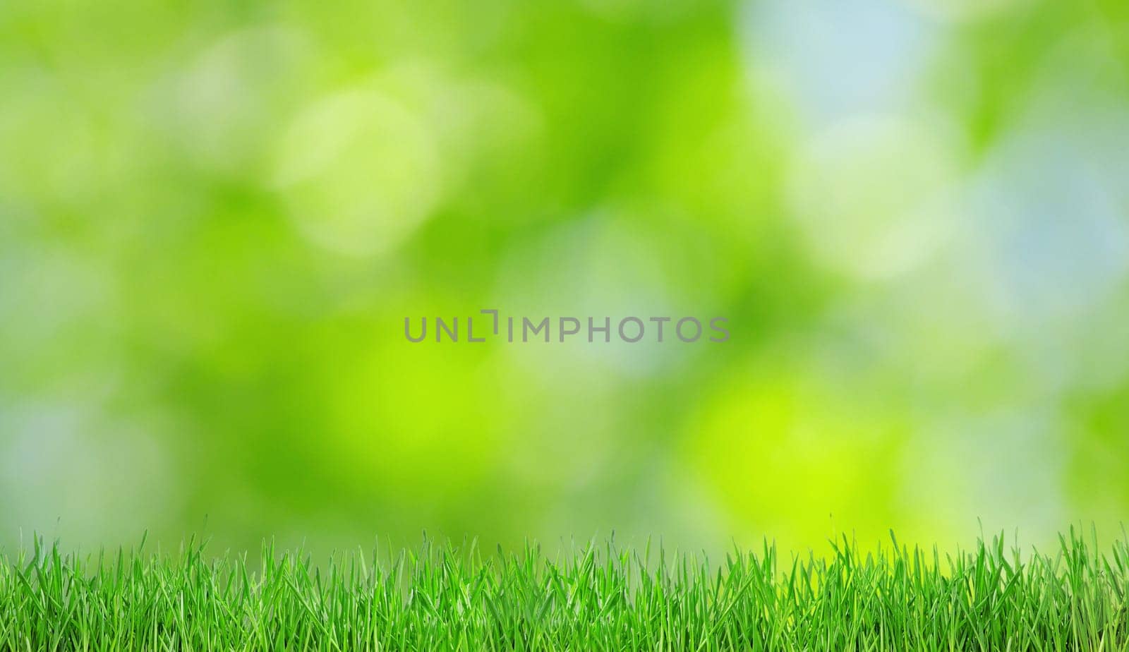 Natural green a blurred background
