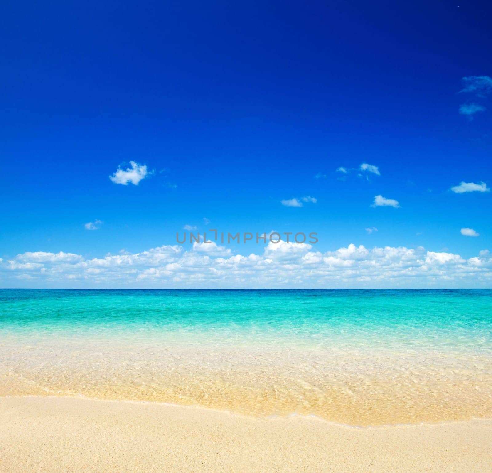beautiful beach and tropical sea