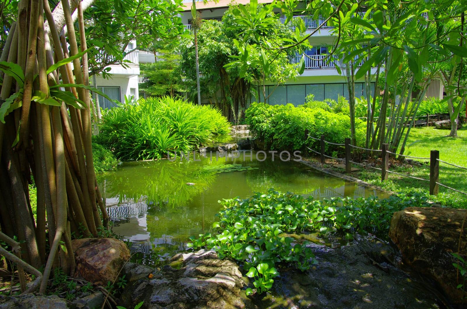 Garden stone path with grass