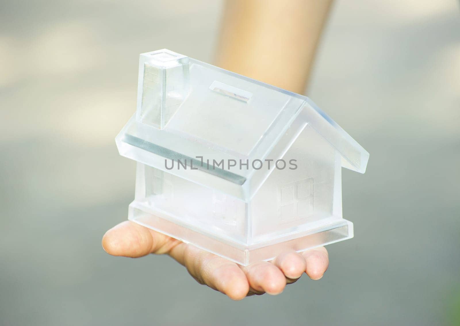 The house in human hand