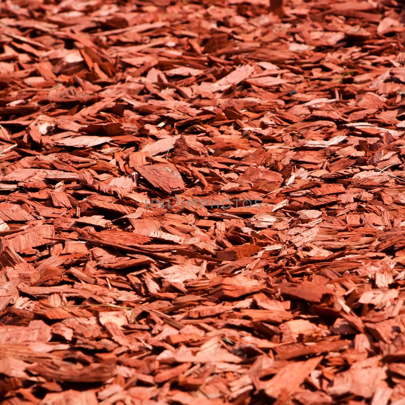 View of wood chips