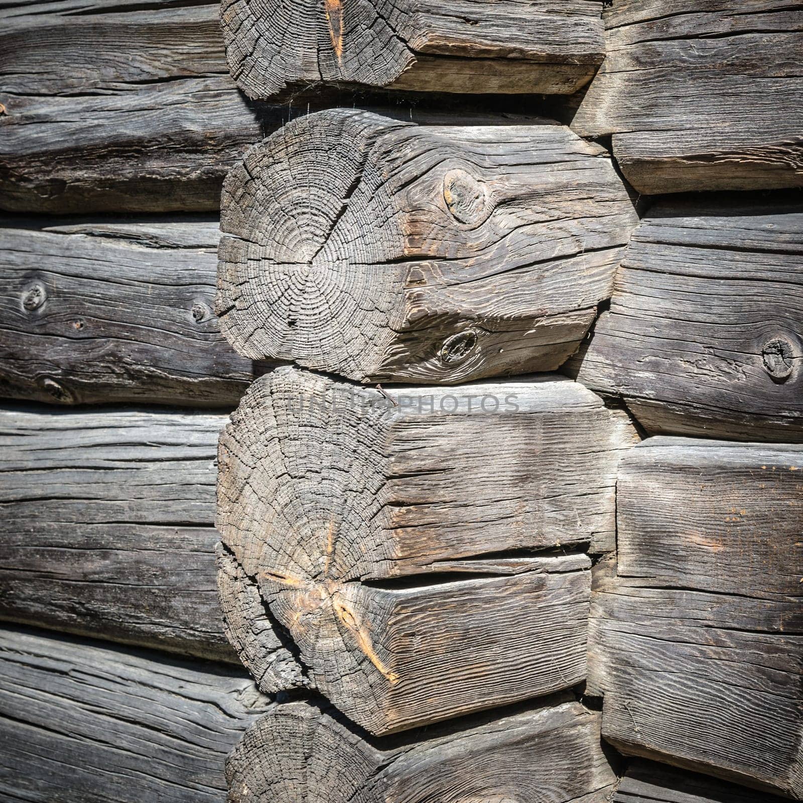 Angle old log home, close up