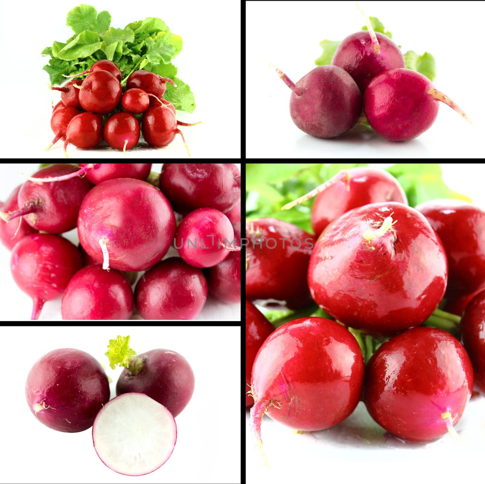 Healthy and organic food, Set of fresh Small garden red radish.