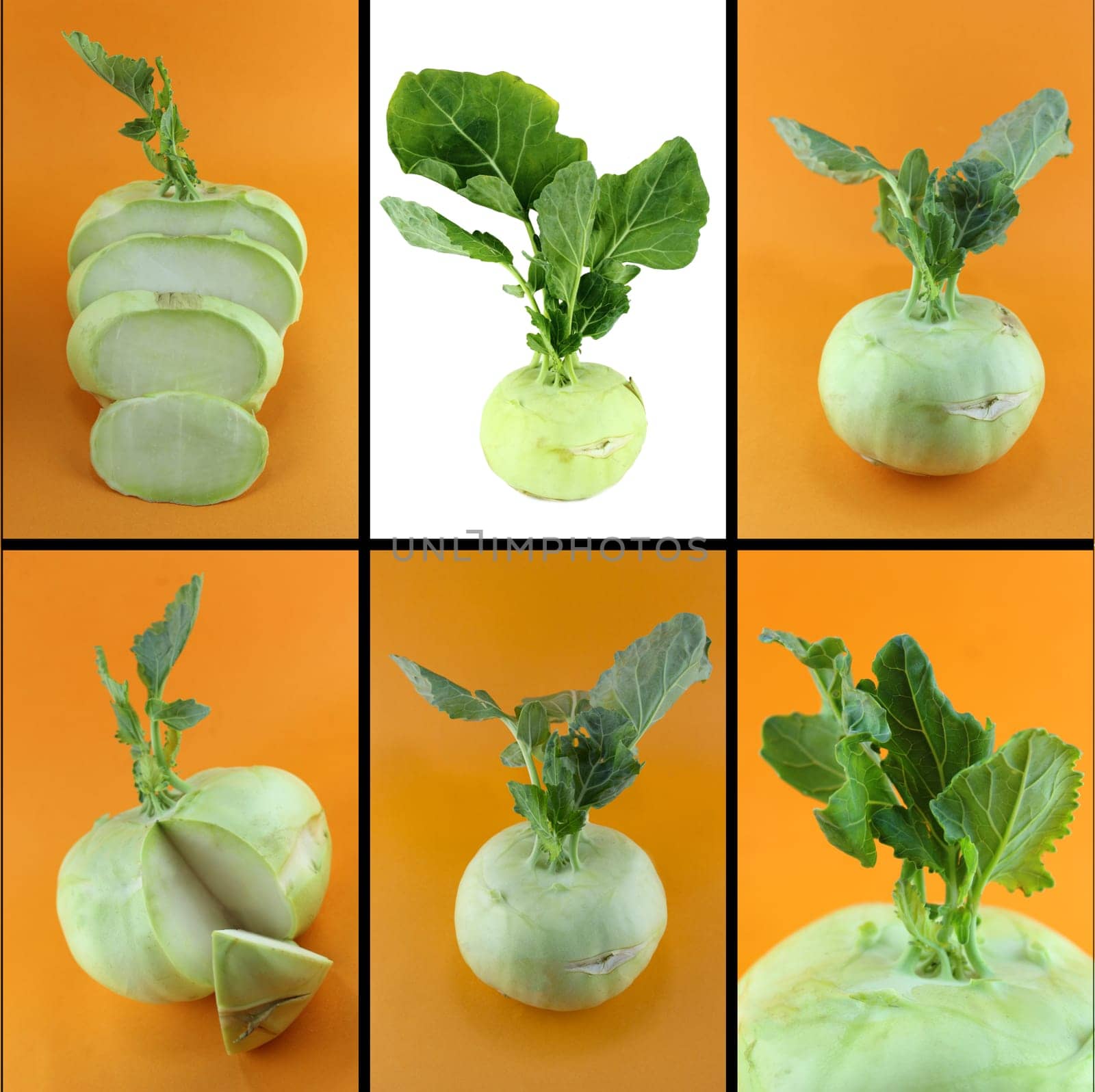 Healthy and organic food, Set of fresh Cabbage kohlrabi ..