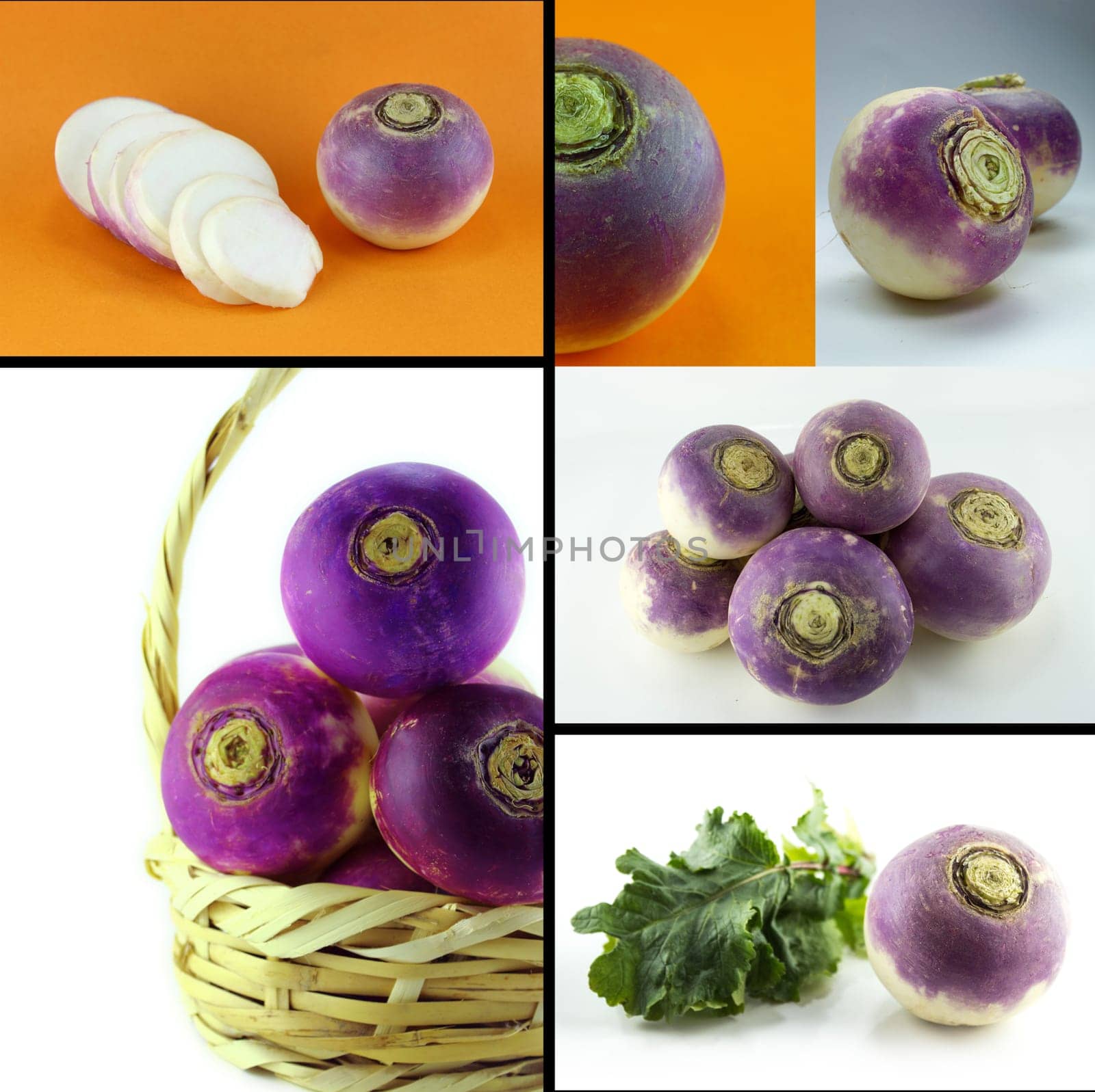 Healthy and organic food, Set of fresh purple headed turnips .