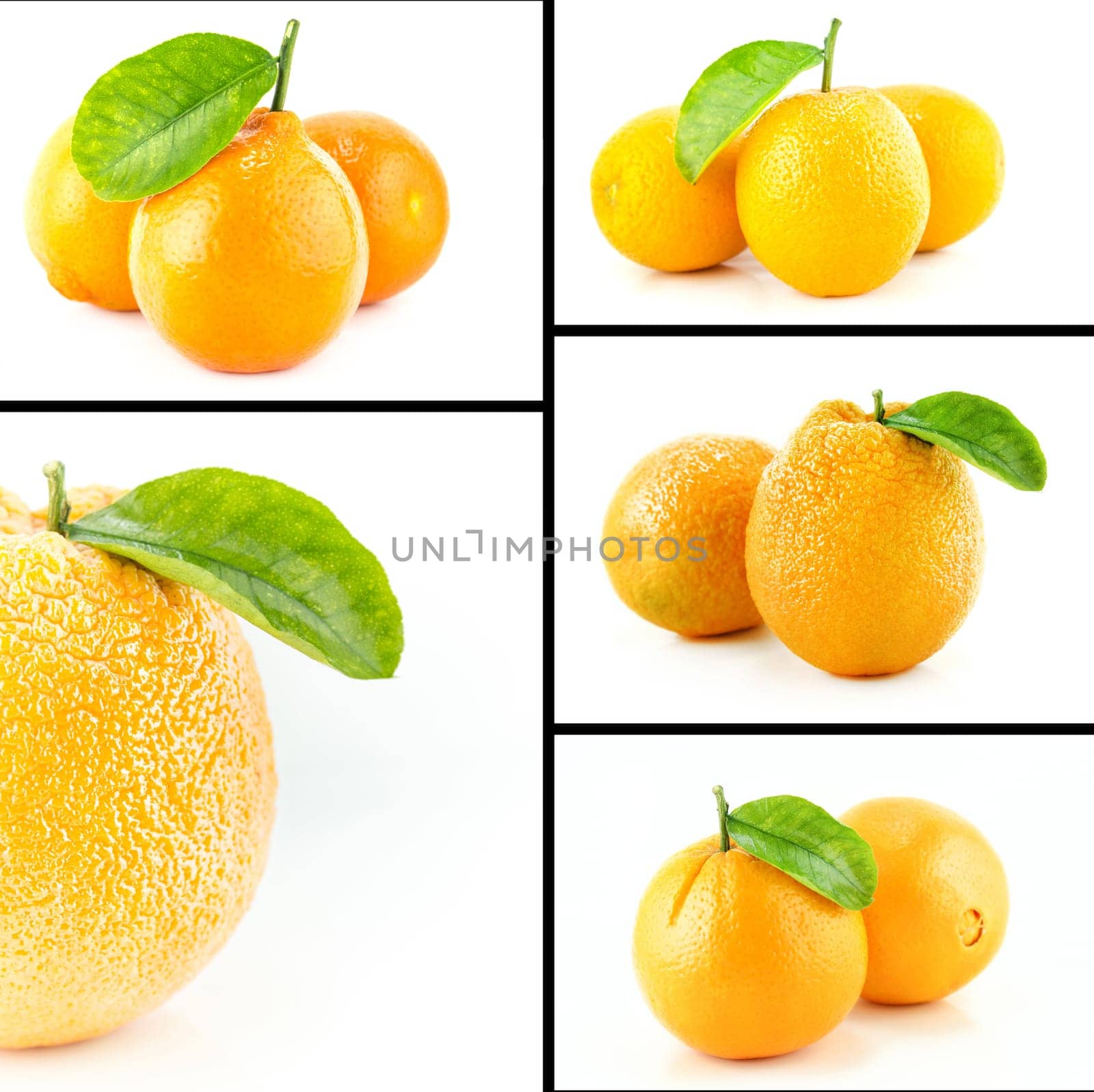 Healthy and organic food, Set of fresh orange.