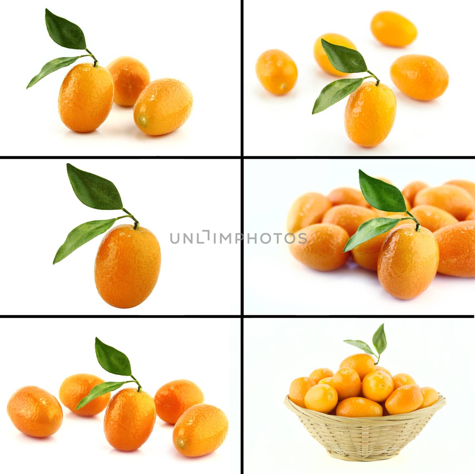 Healthy and organic food, Set of fresh orange.