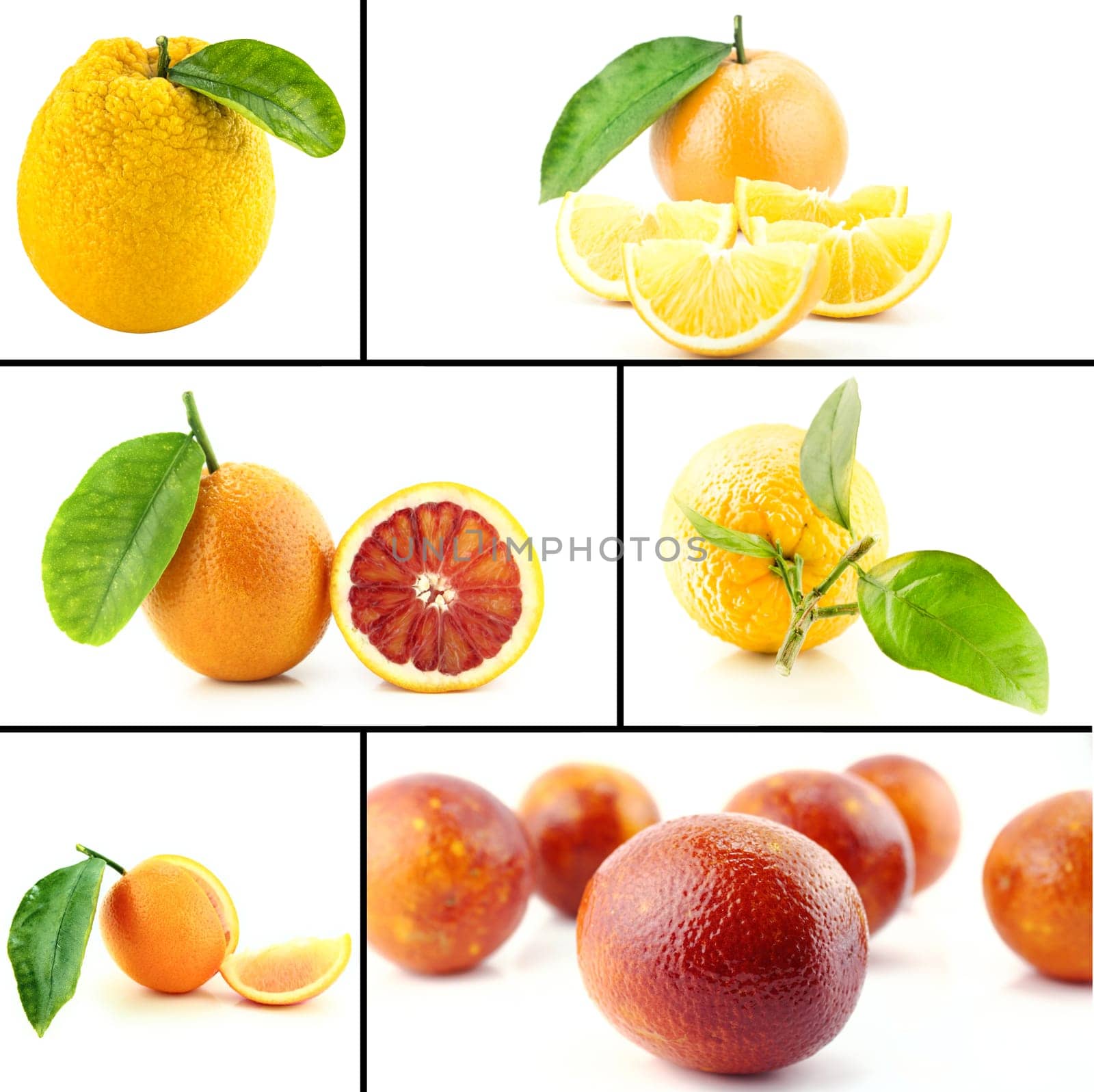 Healthy and organic food, Set of fresh orange.