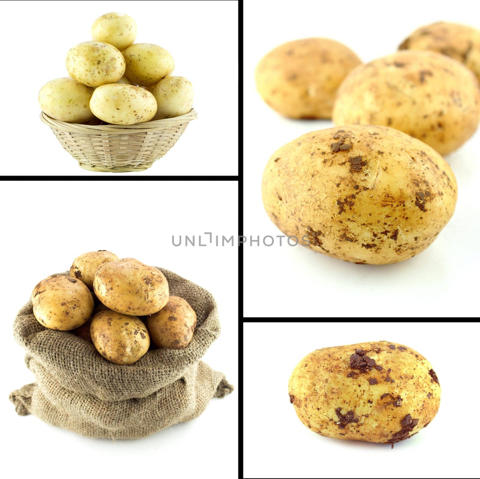 Healthy and organic food, Set of fresh potatoes .