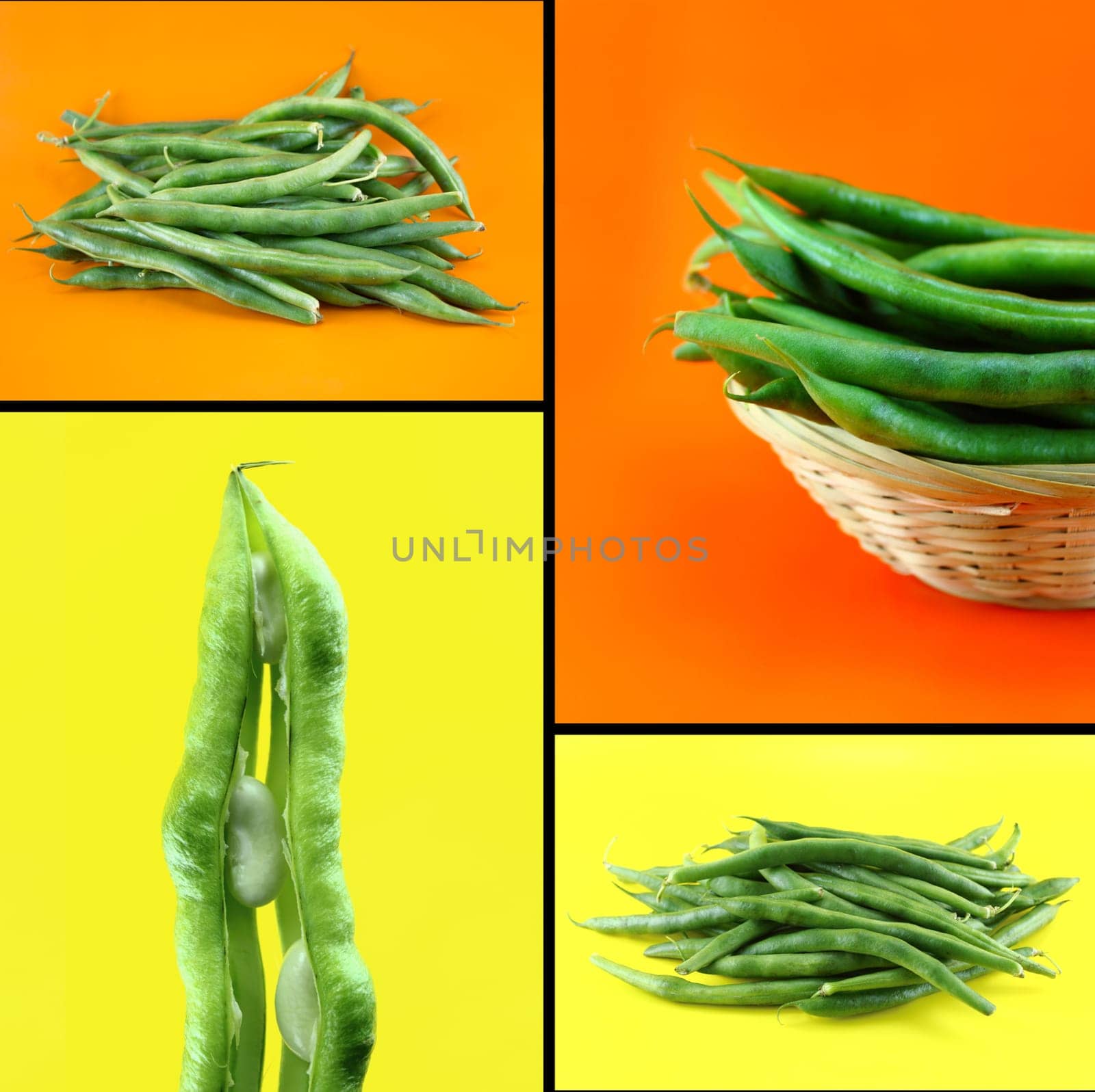 Healthy and organic food, Set of fresh beans.