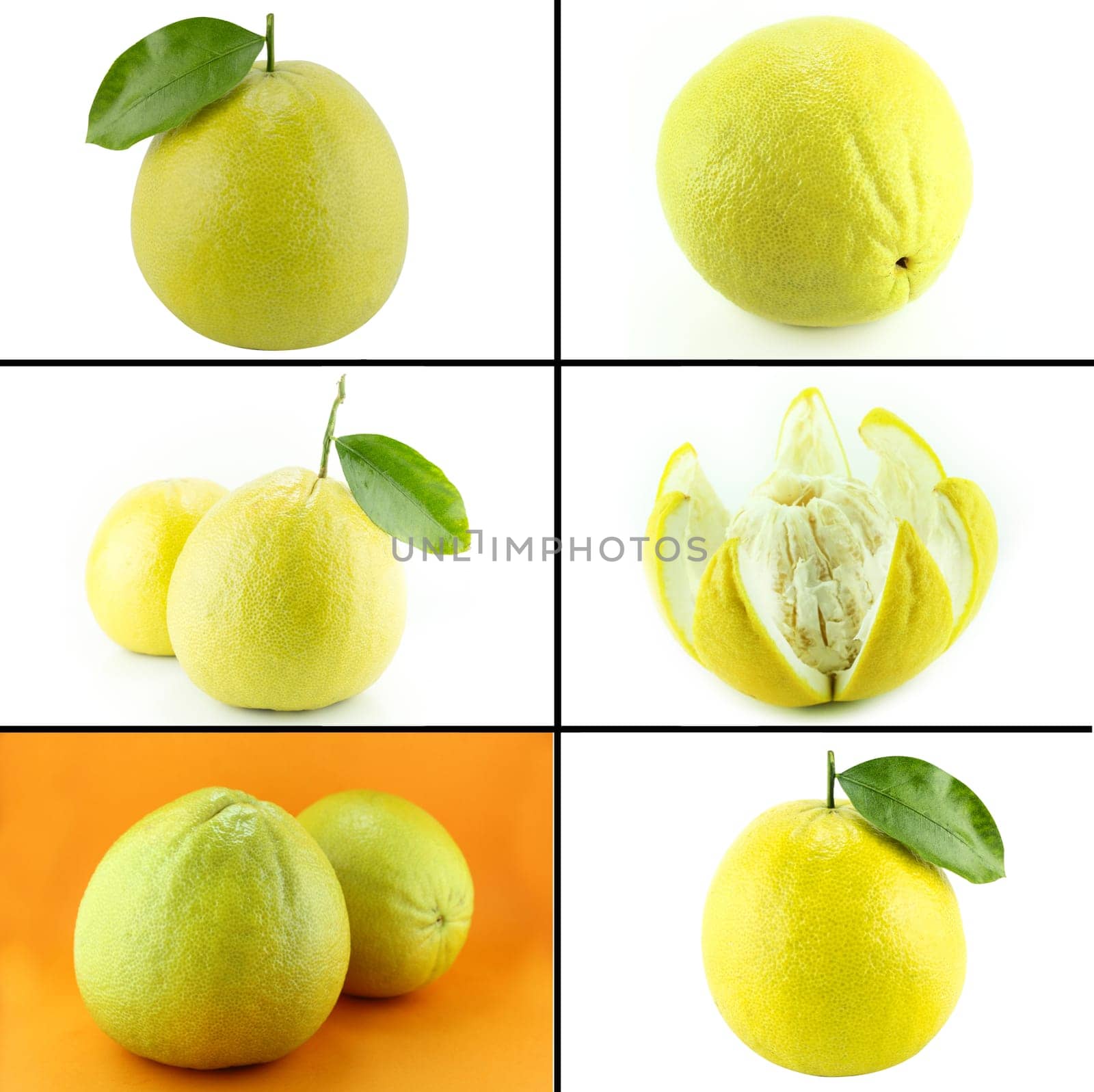 Healthy and organic food, Set of fresh Bergamot oranges .