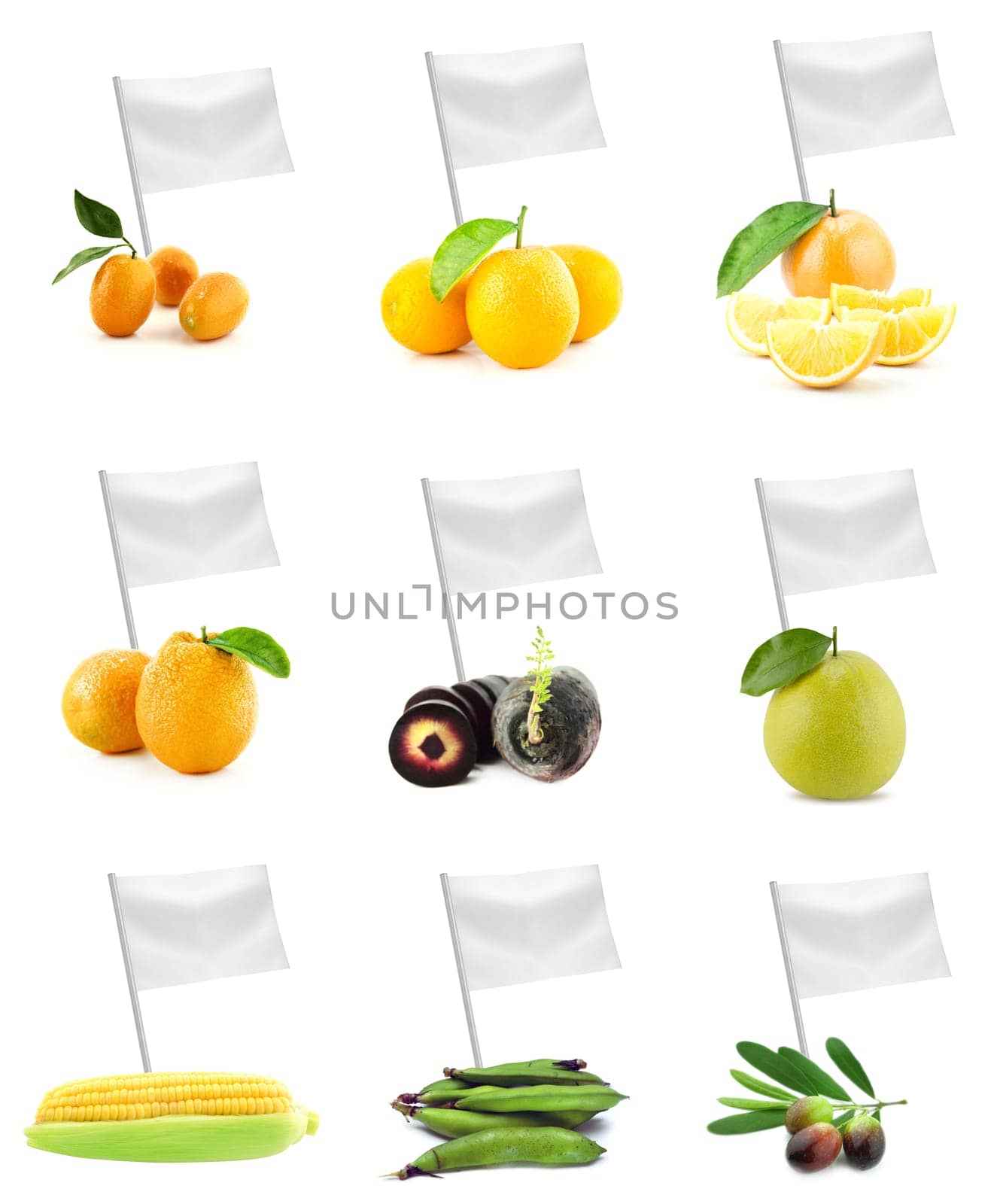 Healthy and organic food concept. Set of fresh fruits and vegetables with flag showing the benefits or the price of fruits.
