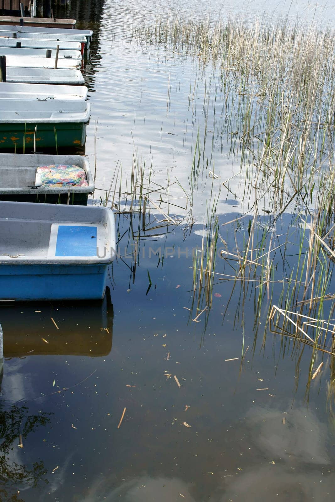 The photograph of rowing boats in a boat rental.